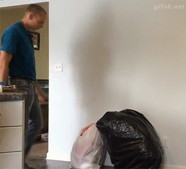 31430635868b06cfe5c1c5c04f05de40.gif
