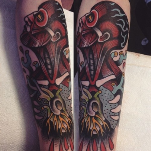ed8d9c5d1509cf95a09c4f534f147db6.jpg