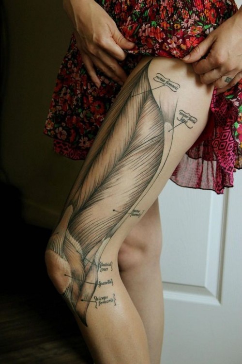 041d5a0eee728cafc8b1f1a955e2592d.jpg