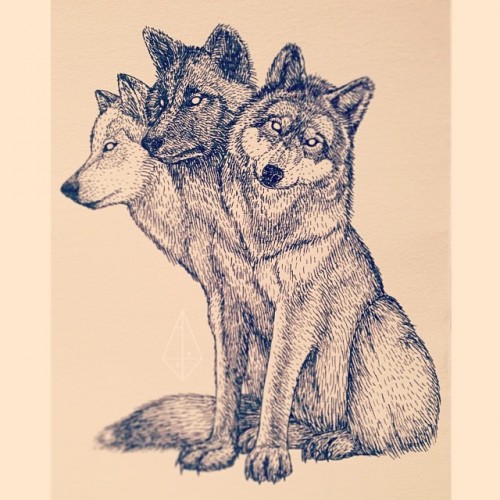 9a5abc92ef279e0ddd4c78aa19cb7cb7.jpg