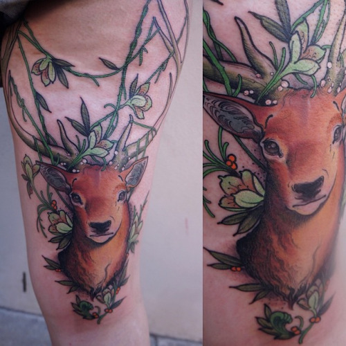 da0f58a53fbf246393c78e8f070e2d51.jpg