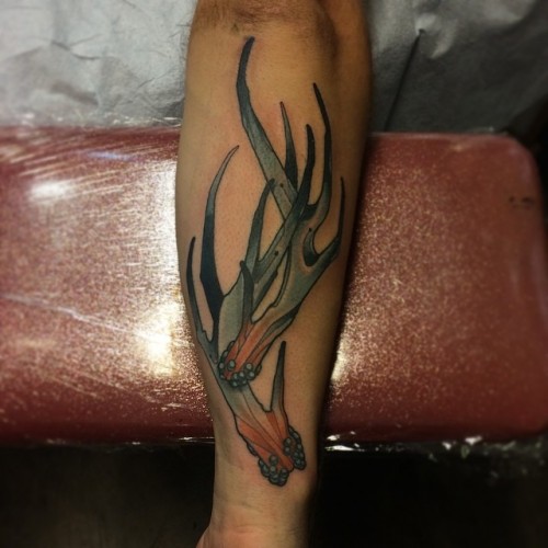2e362bfee890da029e277de86d0ad6d2.jpg