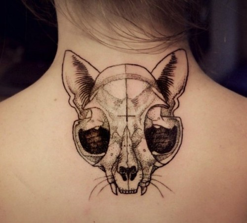 eb5fef45dfded1cbe2d7c72a348975c2.jpg