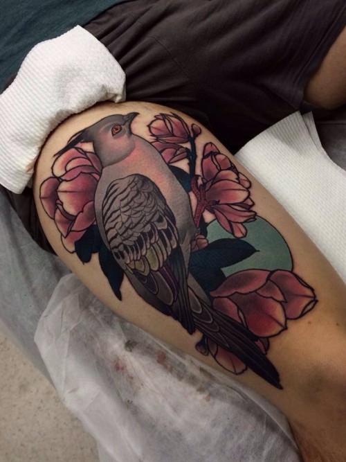 cce500f56aaf9137d8977d8ad36d88b8.jpg