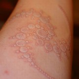 8a8b429f17268a54755bf07a604564bc