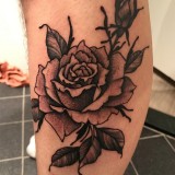 2646379c074876e1d7522bf99697cd3d