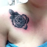 beaed0d7e259a8ddef47ca173cac7286