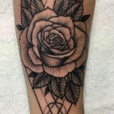 f52732ec5fea61927d3ada39e14ac924