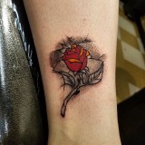 0ac937cda4e905de3fb3d1c6c4e27899