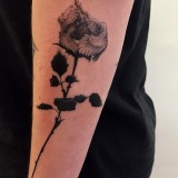 9502da8f400947d0dc24285bd247c94c