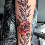 412cd6d995a0a9cf16af8e532ece5e30