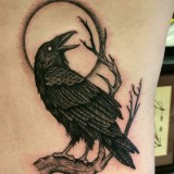 d08d8b4565287c4fb605c6c918159bae