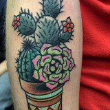 85416c47f1e380eef48b5ddd8f92eedd