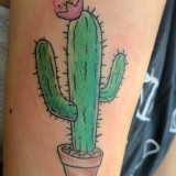 f8a6da572c64a9a23988ee628ceaaa1e