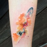 652bbb957f775073cfebf70b9725a7f9