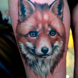 c278d6c8a7f875a26a8a050154455e6b