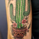 910d16c6d61d196b114a5d3b90105073