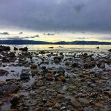 09c89b55a44122af975f8de6eb00ba3f