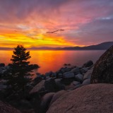 ea82462386d09f1e9353b21e3ba8fd86