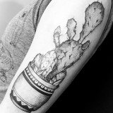 11cacd74ad7d0d54a0d4a60ddfa14f13