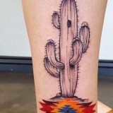 55063b8881c117935de018899cff006e