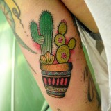 91a91fa997315d31e136f7e0cef06d56