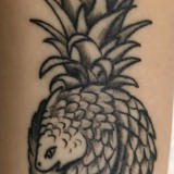 05f1a4ae9dad6a8fb8cae13dcfcbc3ff