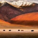 691fb2616490fa38ed220ba66f6c0340