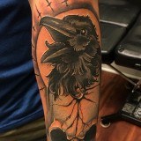 334fcea34111ccefa625c5294d31efe1