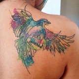 fc988a6fea07234cc0b6b6ba5cbb5695