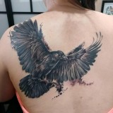 4624d91478e934e95610743c29412c71