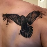 4bba975e4083d5185e3329d6cac9ed0b