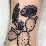 db3bf1db3822c517c4d9354c40e6aeea