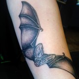 723c6f5fde2ab6137fc302b04eb012e6