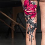 65b6c1375912ca168c271343f6b647cc