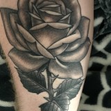 70488a40ed6cd65acbdfeb5698bade32