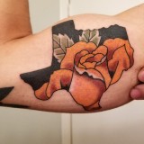 14a7a8a2bc1aaf61687c8e9e8be6e4cf