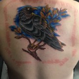 8c4b0706965b03e9d9a87141b1a2372a