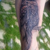 a8f9274986a5dd87f3fa39d81732a138