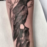 80015aa99a4e4bb79edb051a21f99985