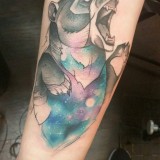 a5833439e67db1d93757320ef8dd1195