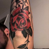 80d82a61dfd9f7362c862c55fd7baae0