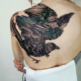 0d2ab638fc1192fc0310cc5d761f0bba