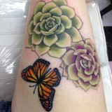 0fa6d287eb3969ab1164e4358781304d