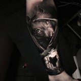 6e8373619bd3bcb300480ecb3559005b