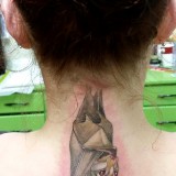 c0839684e7be422941373180bbda1a99