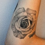 e8213de1a73fc4b6603ad5d66b43318a