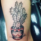 aeb51068fe4b824e8dc9cd5c23b92ced