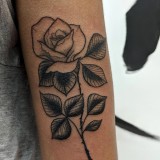 937c9d043b6b28e29b7fec69d3137817