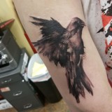 7c8efaf50f5ee6e1a890bc2973a9c4d6